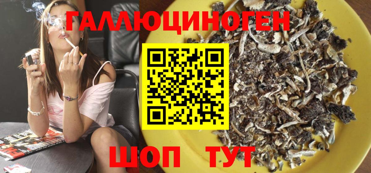 Новозыбков  Псилоцибиновые грибы Psilocybe  Вход с VPN 
