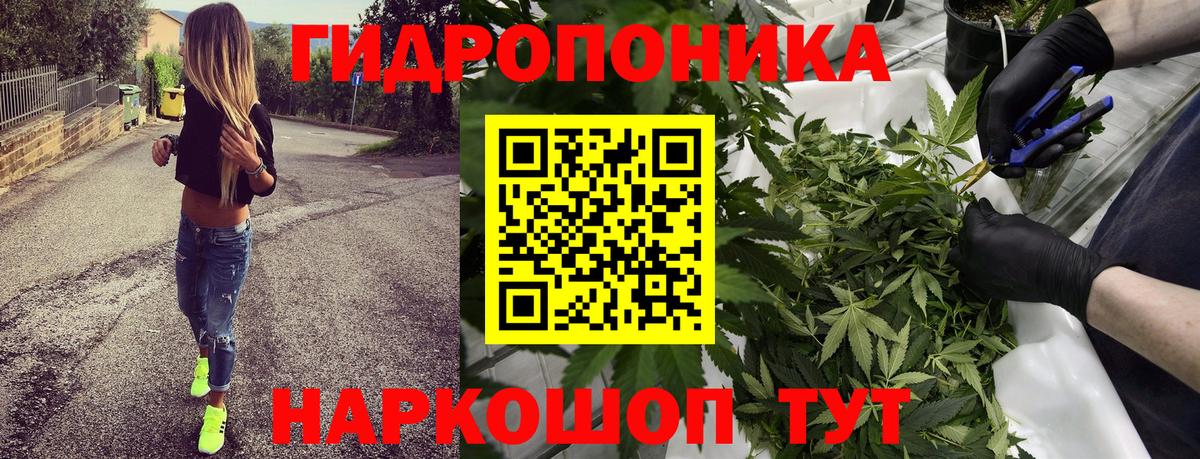 Марихуана Ganja Новозыбков